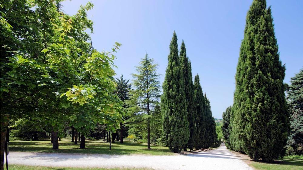 Bed and Breakfast Convento Di San Francesco Mondaino Екстер'єр фото