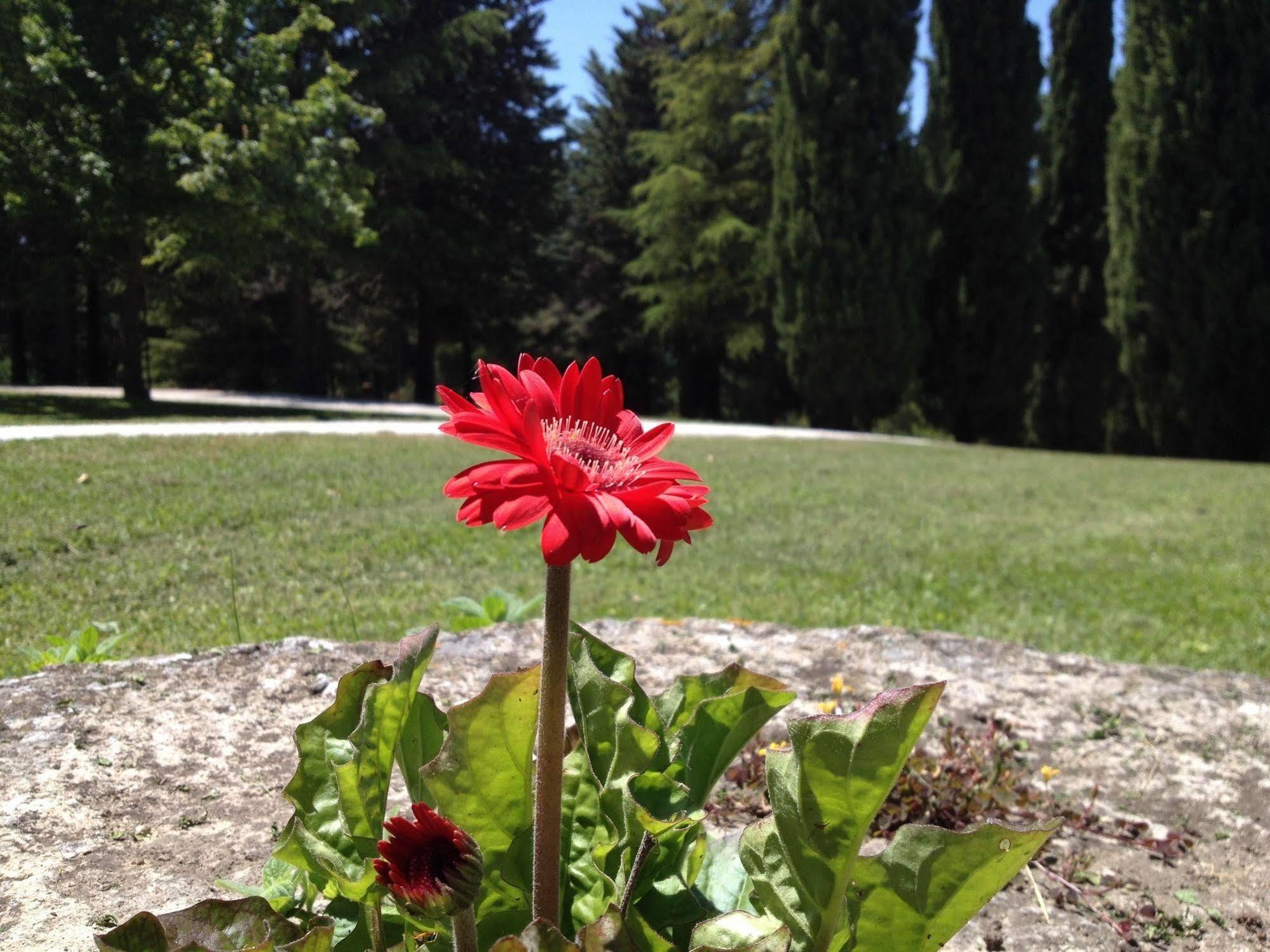 Bed and Breakfast Convento Di San Francesco Mondaino Екстер'єр фото
